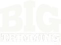 Big Trimming LLC